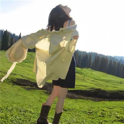 约瑟夫·钱伯斯的正直 海报