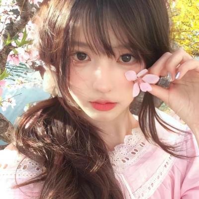 百日蔷薇 海报