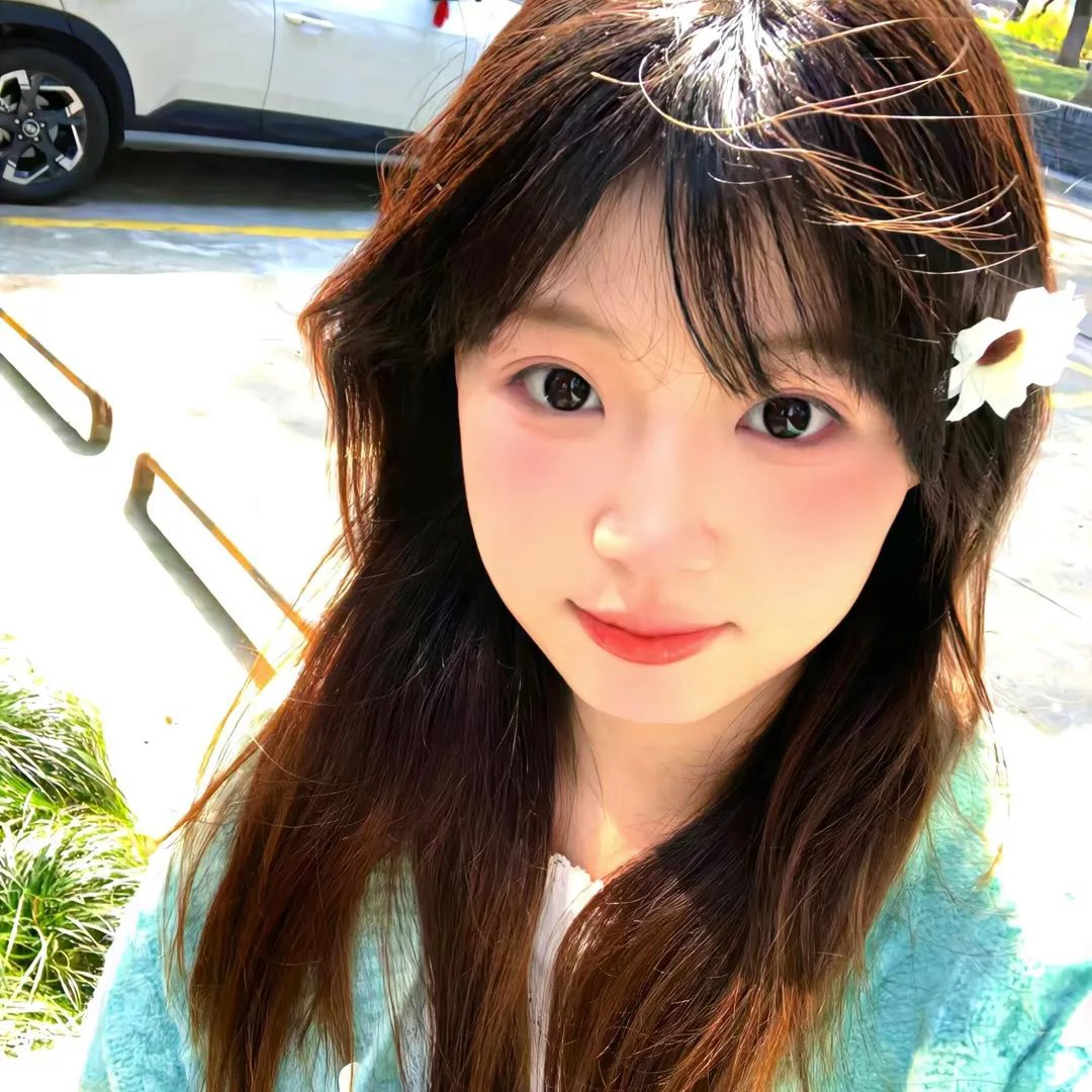 医生车智淑 海报